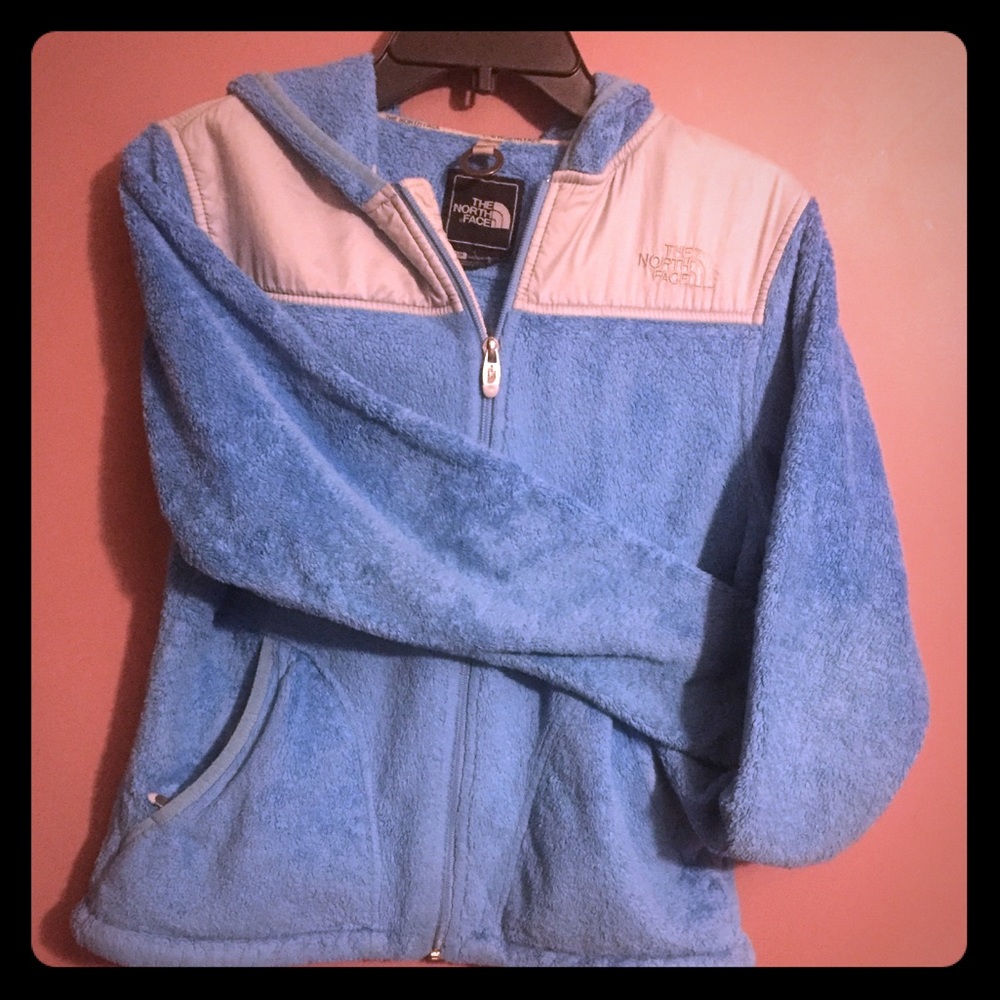 The north face hoodie jacket